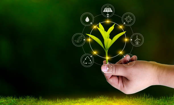 istock Renewable energy concept Earth Day or environment protection Hands protect forests that grow on the ground and help save the world. 1190650862
