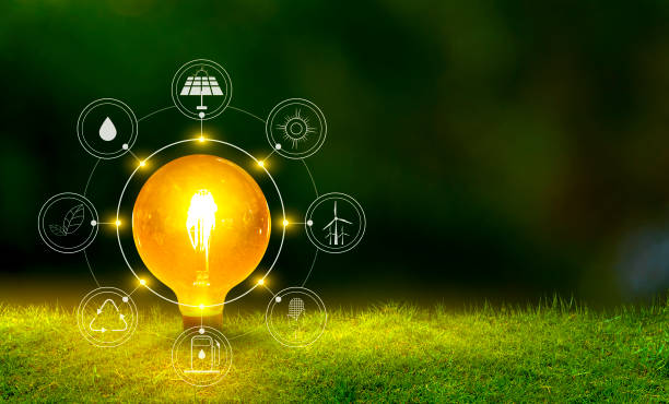istock Renewable energy concept Earth Day or environment protection Hands protect forests that grow on the ground and help save the world. 1190650863