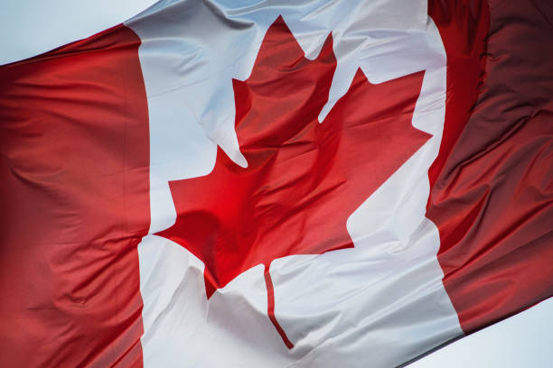 waving canadian flag - canadian flag fotos imagens e fotografias de stock