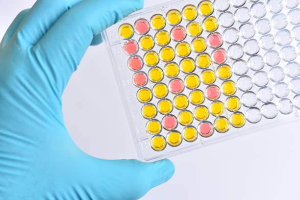 istock Enzyme-linked immunosorbent assay or ELISA plate 1190653938