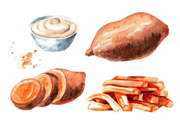 ilustrações, clipart, desenhos animados e ícones de bata crua e fritada da batata doce com jogo do molho. ilustração à mão da aquarela isolada no fundo branco - sweet potato