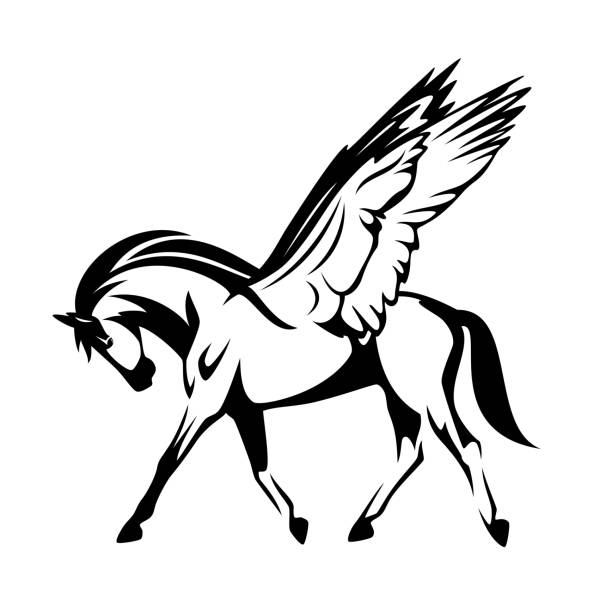 ilustraciones, imágenes clip art, dibujos animados e iconos de stock de alado caballo pegasus diseño de contorno vectorial blanco y negro - mythology horse pegasus black and white