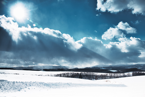 Biei Town, Hokkaido, Japan, Agriculture, Backgrounds