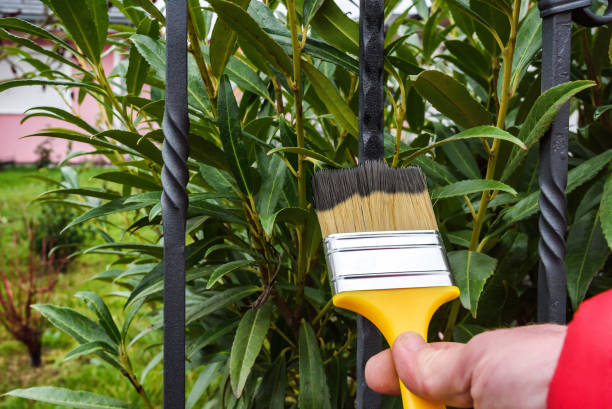 istock painting a fence 1190658993