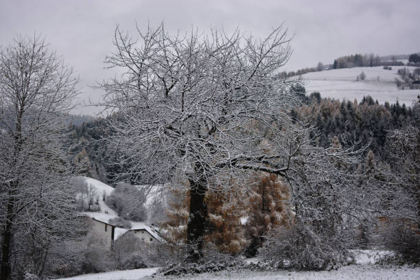 istock a big snowfall in the mountains Winter is coming 1190659075