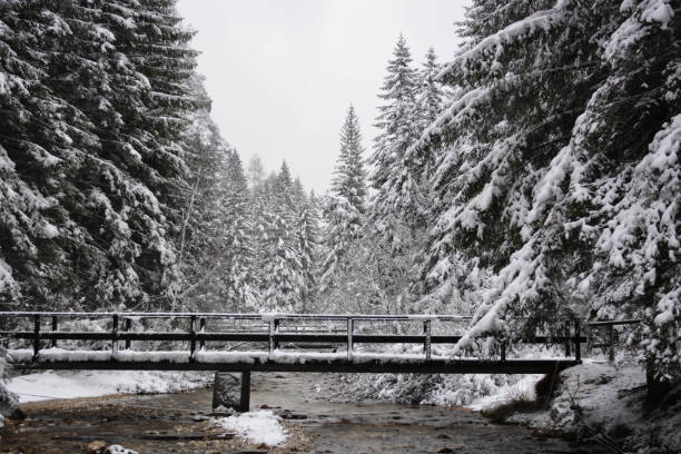 the bridge over the stream in the snow-covered forest winter rettenbach glacier stock pictures, royalty-free photos & images