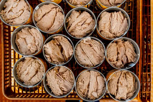Photo of Box of tuna cans before being closed in a fish factory