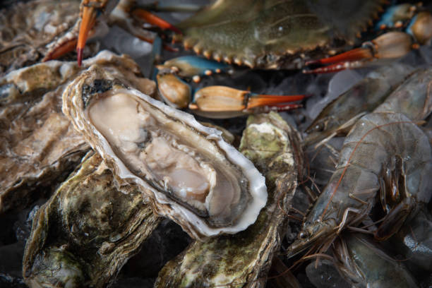 istock crustacean in pan filled with ice 1190659698