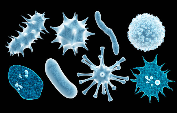 Conjunto de vírus, germes e bactérias - foto de acervo