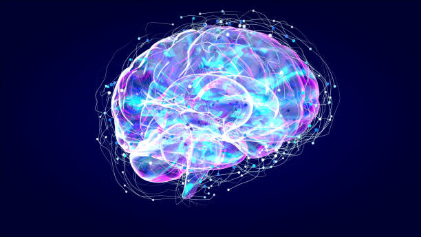 istock Brain xray, human anatomy, 3D Illustrated neurons 1190660692