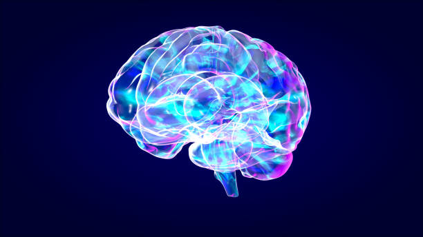 istock Brain xray, human anatomy, 3D Illustrated neurons 1190660694