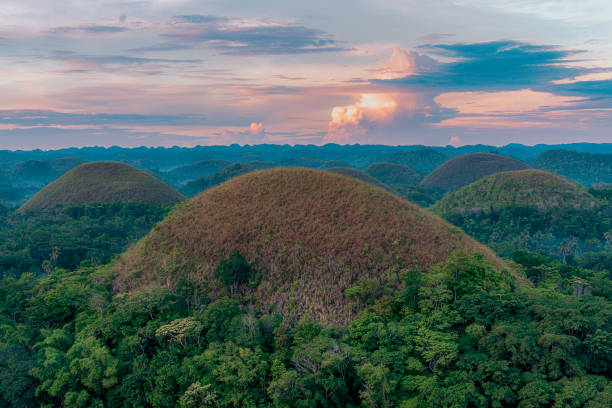 Landscape orientation image of the Chocolate Hills on the island of Bohol in the Philippines. There are three prominent hills in the mid-ground of the image, a canopy of trees in the foreground. A dramatic sunrise sky, with large clouds catching sunlight, occupies the upper third of the frame.
