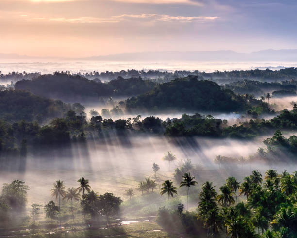 Landscape orientation, four by five image of the Chocolate Hills on the island of Bohol in the Philippines. The scene is dramatically bathed in sunrise light. There are palm trees in the foreground with fog rolling and sunbeams casting over the land. In the mid-ground there are some mound-shaped hills and in the background there is a cloud inversion and some distant mountains on the horizon.