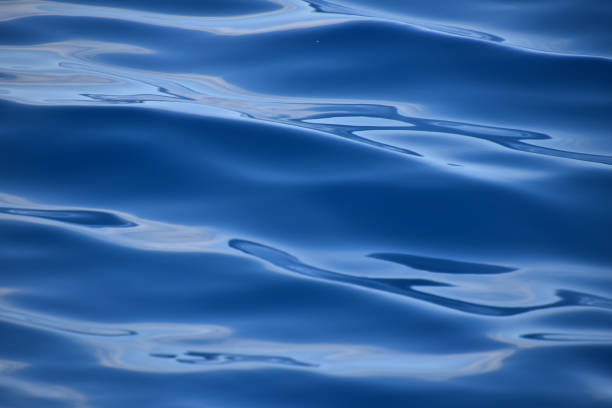 istock Blue sea water surface with ripples and waves 1190662239