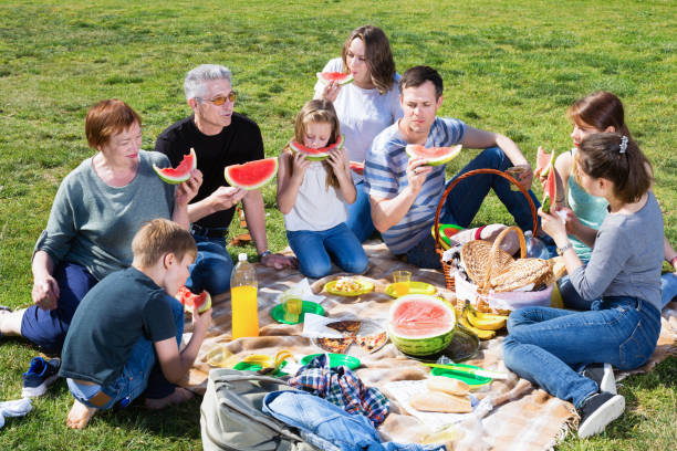 istock People of different ages sitting and talking on picnic 1190669594