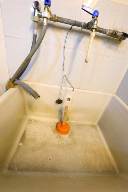 istock plunger in the washbasin 1190669894