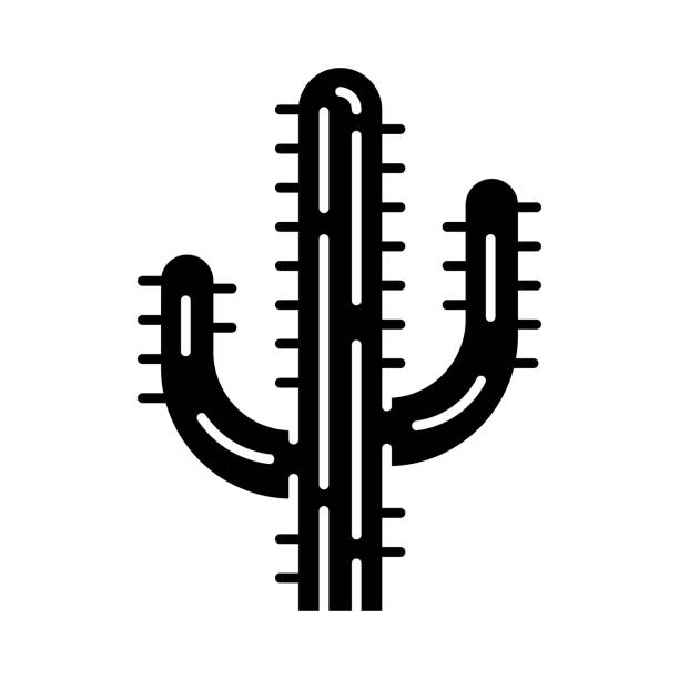 ilustraciones, imágenes clip art, dibujos animados e iconos de stock de icono de glifo de cactus saguaro - cactus blooming southwest usa flower head