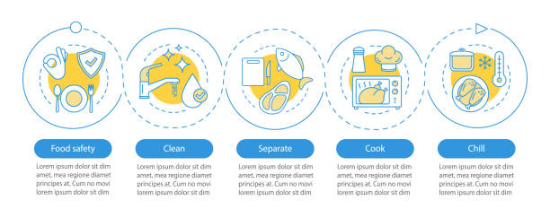 ilustrações de stock, clip art, desenhos animados e ícones de food safety vector infographic template - food safety