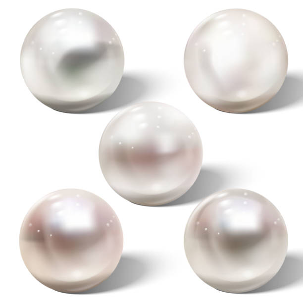 ilustraciones, imágenes clip art, dibujos animados e iconos de stock de perla de mar natural brillante realista con efectos de luz. - vector love jewelry pearl