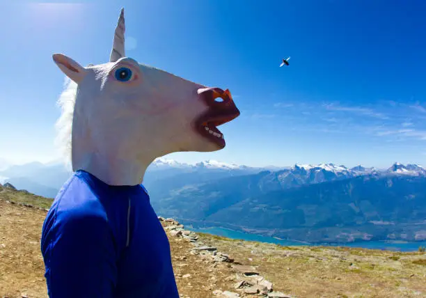 A man wearing an unicorn mask looks at a horse fly on top of a mountain near Revelstoke, British Columbia, Canada in the summer.