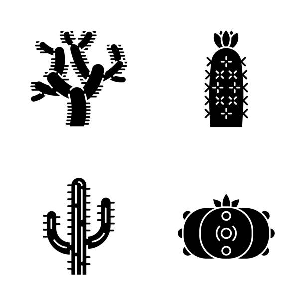 야생 선인장 문말 아이콘 세트 - cactus hedgehog cactus flower desert stock illustrations
