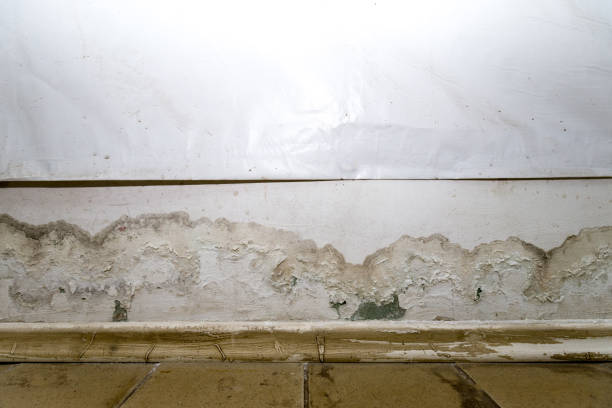 istock Flooding rainwater or floor heating systems, causing damage, peeling paint and mildew. 1190677507