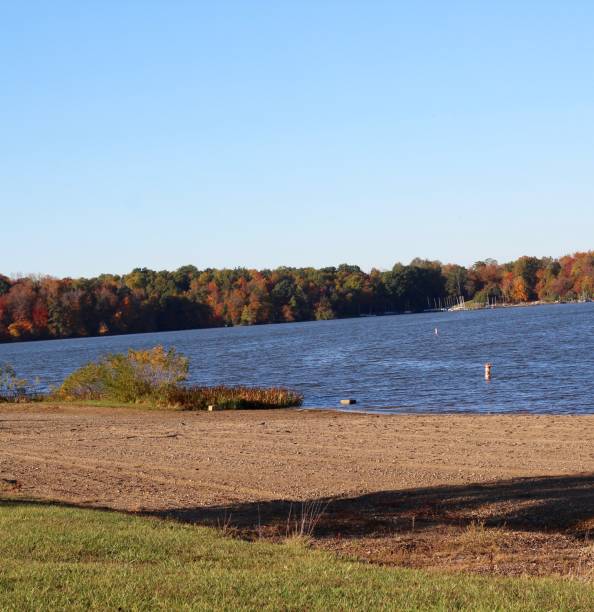 View of Lake from the Beach