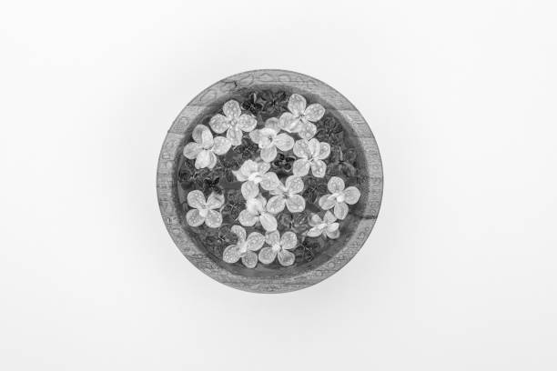 art d'art de photo noir et blanc des fleurs flottantes de lilas dans un bol d'eau sur un fond blanc. - floating on water flower fine art painting water photos et images de collection