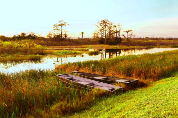 Orange and yellow changing leaves in swamp landscape