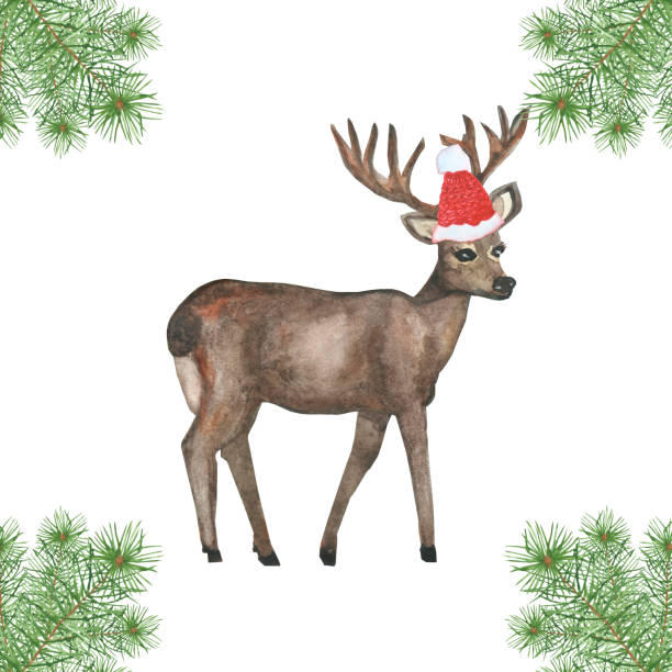 istock Watercolor hand painted nature winter holiday celebration wild animal composition with brown deer with horns with red christmas hat and green fir branches isolated on the white background 1190685143