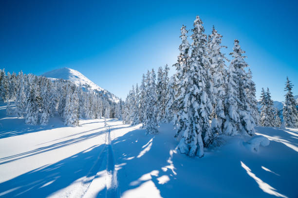 istock beautiful winter landscape with deep snow in mountains 1190689832