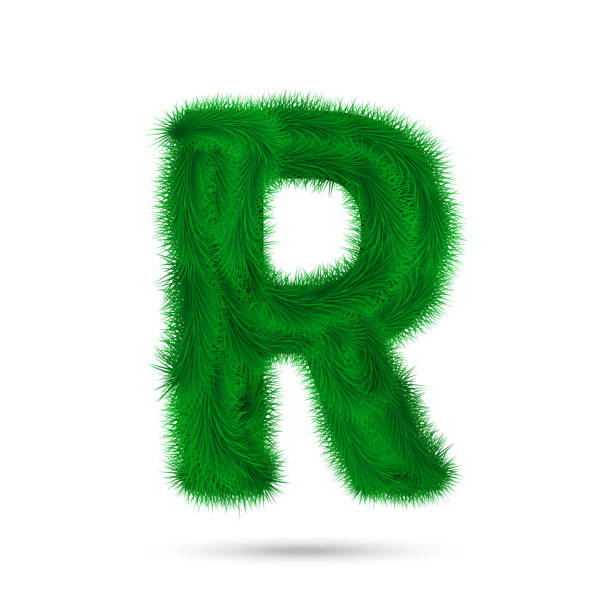 istock Decorative letter of fir tree isolated on white. 1190690750