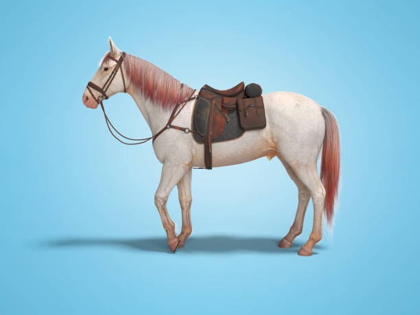 istock White horse with bridle left view 3d render on blue background with shadow 1190697125