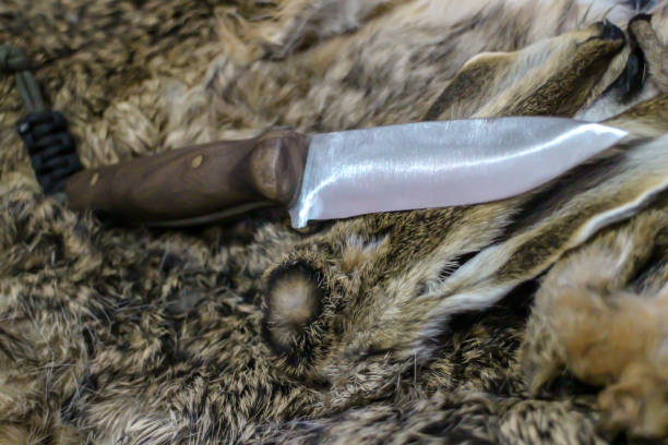 istock Knife and cover on the Fur 1190697817