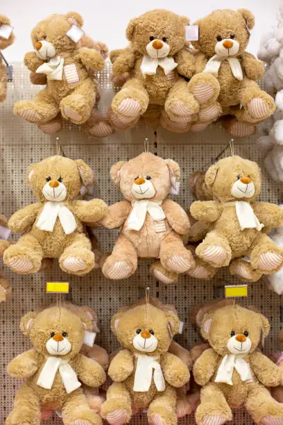 Photo of Choose your Teddy Bear