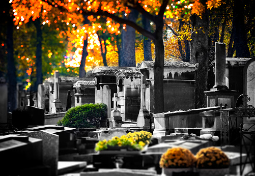 A view of the Montmartre cemetery in Paris