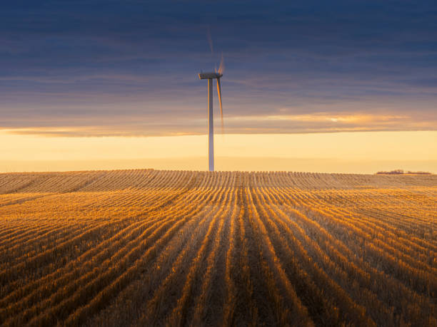 Wind turbines in south of Saskatchewan, Canada.