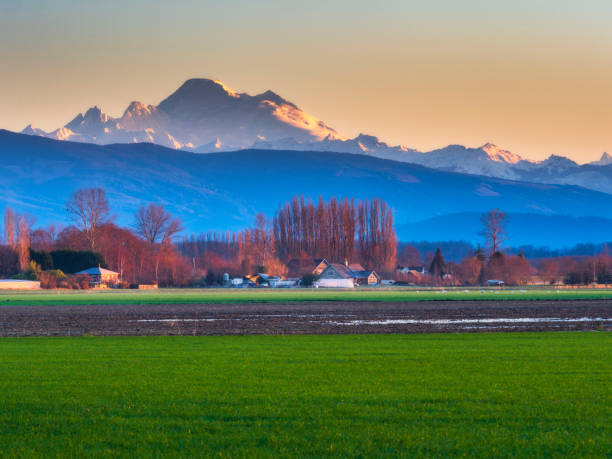 istock Rural landscape at Mount Baker 1190709121