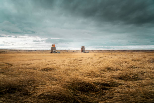 大草原の古い穀物エレベーター - canada saskatchewan grain elevator prairie ストックフォトと画像