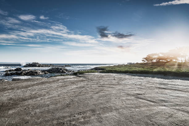 istock Empty sand beach with tyre tracks against sky 1190714319
