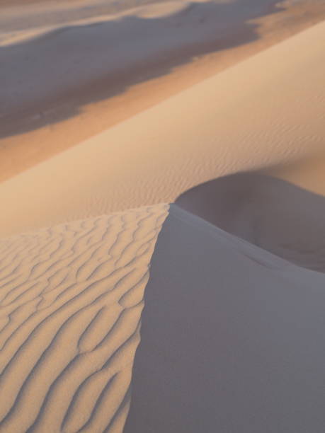 istock Wahiba sands desert in Oman 1190721220