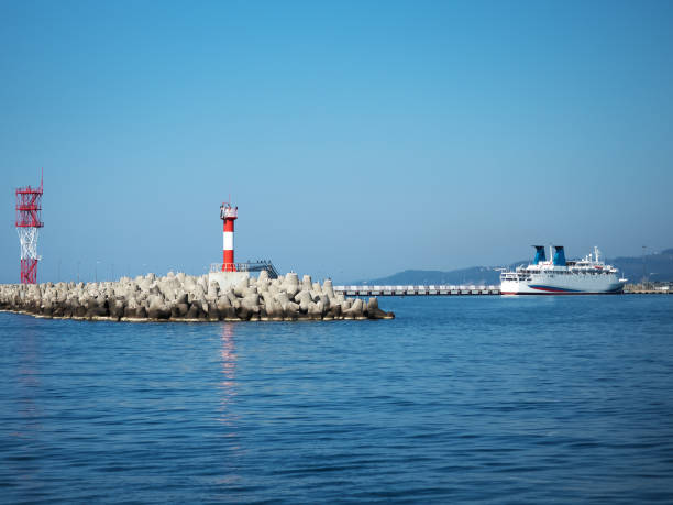 istock Red lighthouse with birds on a pier in the sea 1190727691