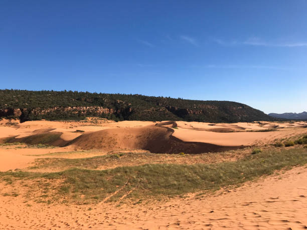 istock Coral Pink Sand Dunes State Park, Utah 1190732207