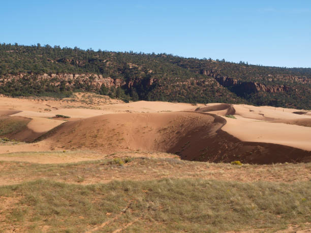 istock Coral Pink Sand Dunes State Park, Utah 1190732210