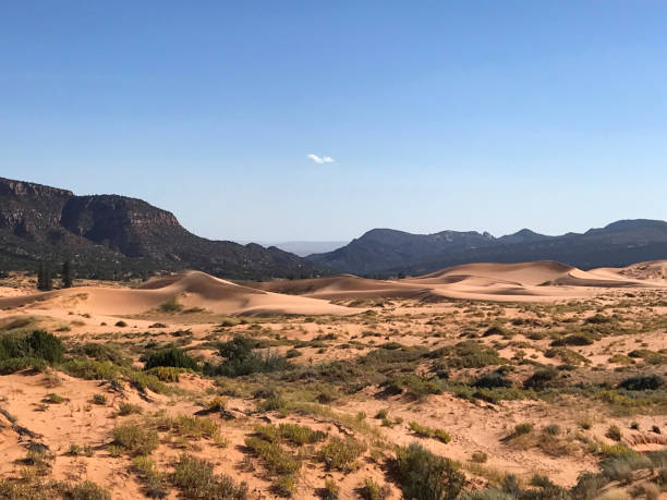 istock Coral Pink Sand Dunes State Park, Utah 1190732213