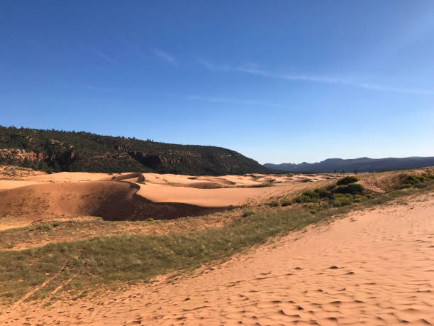 istock Coral Pink Sand Dunes State Park, Utah 1190732221
