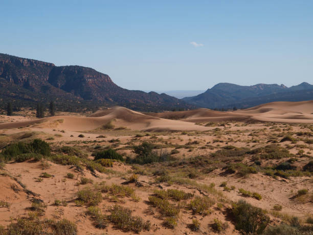 istock Coral Pink Sand Dunes State Park, Utah 1190732228