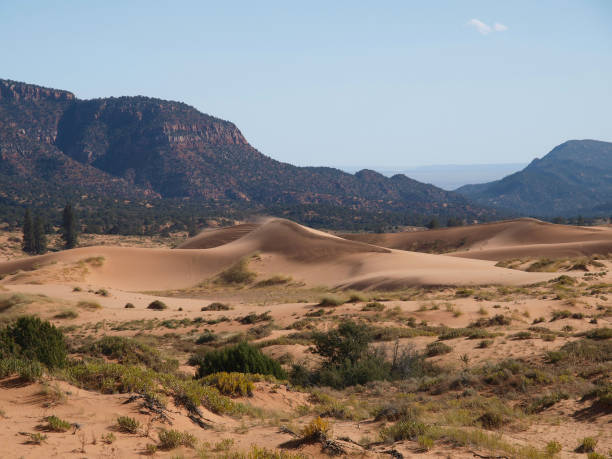 istock Coral Pink Sand Dunes State Park, Utah 1190732231