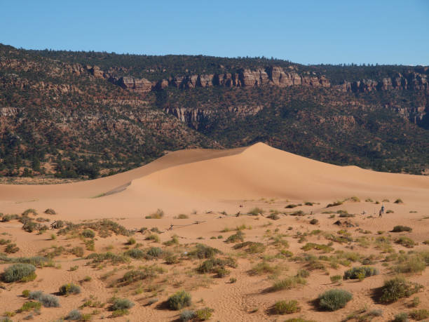 istock Coral Pink Sand Dunes State Park, Utah 1190732234