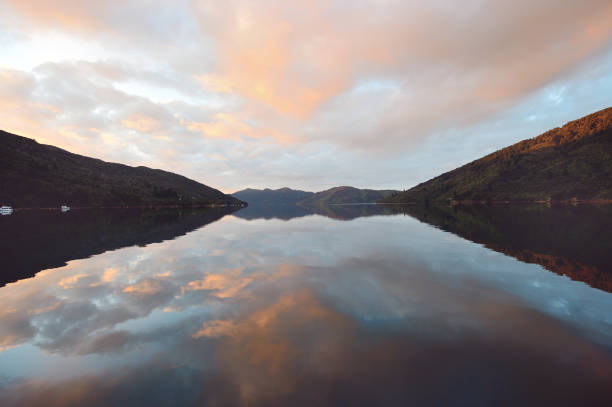 istock Marlborough Sounds New Zealand 1190735310